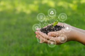 COP28 faces debate over controversy-mired carbon credits