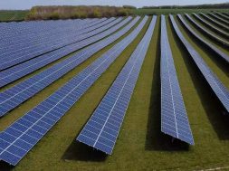 Fuel costs worth $4.2 billion saved through solar power in India Report