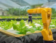 How do EU and US firms perceive and invest in climate change