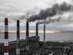 Power ministry to benchmark biomass pellet prices