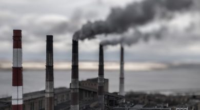 Power ministry to benchmark biomass pellet prices