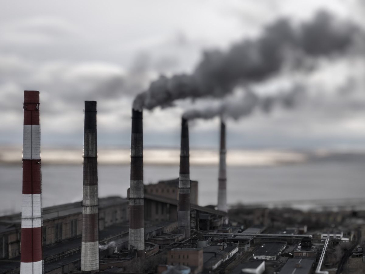 Power ministry to benchmark biomass pellet prices