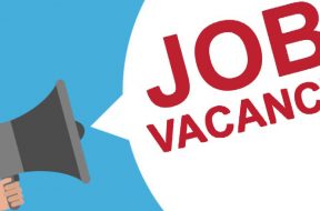 Solar Job- Director-Solution Architect 