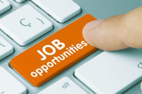 Solar-Job-Manager-Application-Engineer