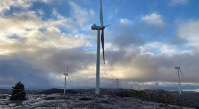 Thunberg, other protesters block Norway energy ministry over wind farms