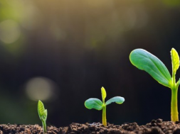 Air Liquide partners with Rothschild & Co and the Solar Impulse Foundation to accelerate the development of cleantech solutions