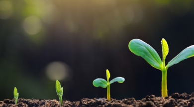 Air Liquide partners with Rothschild & Co and the Solar Impulse Foundation to accelerate the development of cleantech solutions