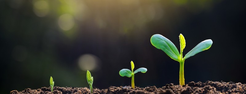 It’s time for a European cleantech investment plan-EQ