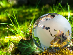 Coalescing ESG’s Shared Value with Business Goals for the Creation of Net-Zero Future