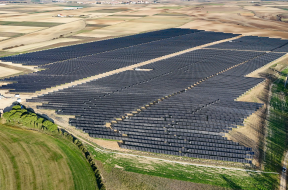 Pato_ES_copyright ibvogt_02[59]