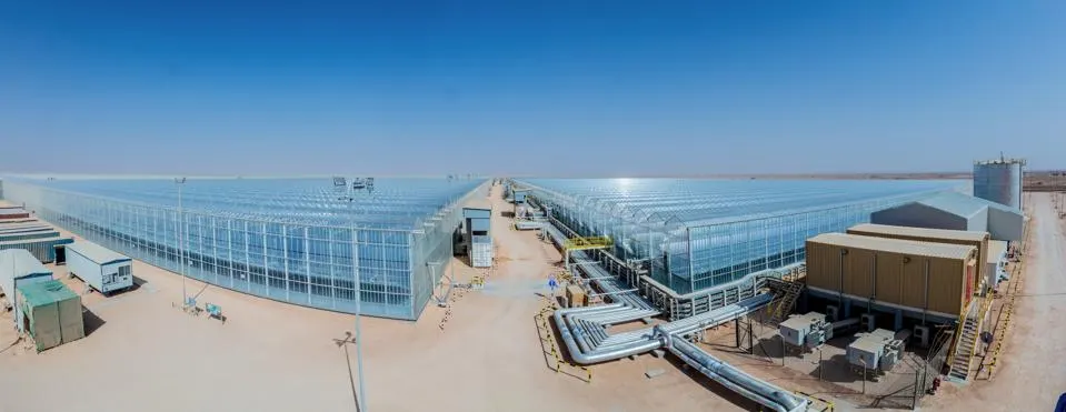 The Saudis Are Finding Carbon-Friendly Ways To Power Industry – EQ